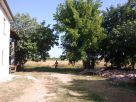 Foto - Rustico / Casale Strada Provinciale 5 38-52, Ravenna