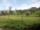 Terreno Vendita Riano 