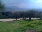 Terreno Vendita Guidonia Montecelio 