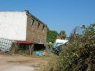 Terreno Vendita Anzio 
