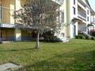 Foto - Quadrilocale buono stato, piano terra, Medesano