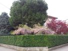 Foto - Casa indipendente via Grigna, Figino Serenza