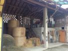 Foto - Rustico / Casale via Cascina Casotta 20, Cassano D'Adda