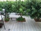 Foto - Casa indipendente Vendita, Capo D'Orlando