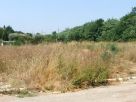 Terreno Vendita Roma 35 - Setteville - Casalone - Acqua Vergine