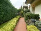 Foto - Villetta a schiera 5 locali, ottimo stato, Cerreto Guidi