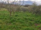 Terreno Vendita Genazzano 