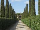 Foto - Rustico / Casale centro, Montepulciano