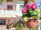 Foto - Villa, ottimo stato, 350 mq, Sciacca