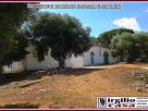 Foto - Rustico / Casale corso Giuseppe Mazzini, Ostuni