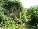 Haus im wald kaufen sachsen