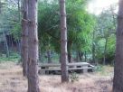 Terreno Vendita Lanusei 