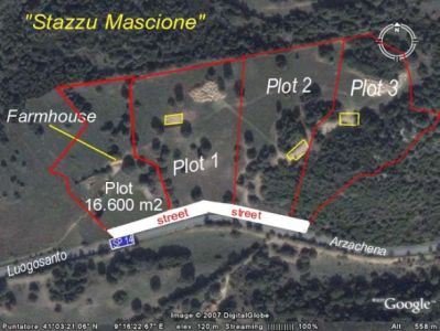 foto Terreno Vendita Luogosanto