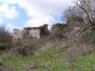 Rustico / Casale Vendita Badia Tedalda 