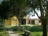 Case e immobili  in affitto a Montalto Di Castro
