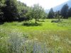 anteprima foto 3 Altro Vendita Borgofranco D'Ivrea