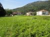 anteprima foto 5 Altro Vendita Borgofranco D'Ivrea