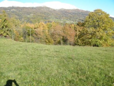 foto Altro Vendita Donato