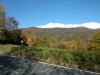 anteprima foto 4 Altro Vendita Donato