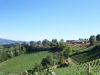 anteprima foto 7 Altro Vendita Montabone