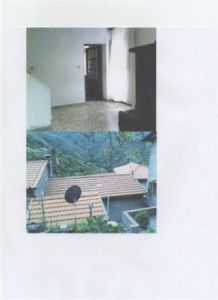 foto Altro Vendita Stazzema