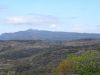anteprima foto 2 Altro Vendita Tinnura