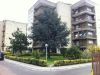 Appartamento Vendita Boscoreale 