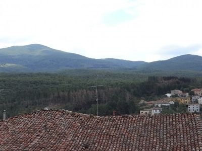 foto Appartamento Vendita Castel Del Piano