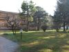 Appartamento Vendita Collebeato 
