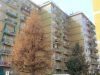 Appartamento Vendita Cologno Monzese 