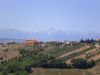anteprima foto 6 Appartamento Vendita Colonnella