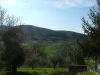 anteprima foto 4 Appartamento Vendita Giano Dell'Umbria