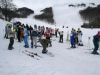 Appartamento Vendita Lizzano In Belvedere 