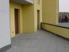 Appartamento Vendita Nogara 