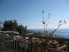 Appartamento Vendita Pisciotta 