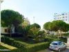 anteprima foto 5 Appartamento Vendita Porto Recanati