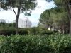 Appartamento Vendita Praia A Mare 