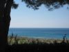 anteprima foto 1 Appartamento Vendita San Lucido