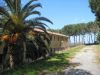 anteprima foto 8 Appartamento Vendita San Lucido