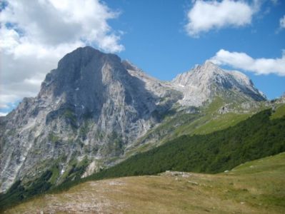 foto Attivit&agrave; / Licenza Vendita Pietracamela