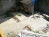 anteprima foto 2 Casa indipendente Vendita Arpaia