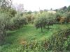anteprima foto 4 Casa indipendente Vendita Atina