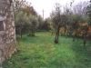 anteprima foto 5 Casa indipendente Vendita Atina