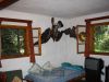 anteprima foto 3 Casa indipendente Vendita Brennero