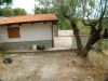 Casa indipendente Vendita Camerota 