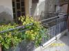 anteprima foto 9 Casa indipendente Vendita Colledara