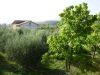 anteprima foto 3 Casa indipendente Vendita Conca Della Campania