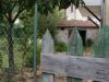 anteprima foto 2 Casa indipendente Vendita Gagliano Aterno