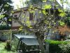 Casa indipendente Vendita Gallicano Nel Lazio 