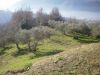 anteprima foto 7 Casa indipendente Vendita Gallinaro